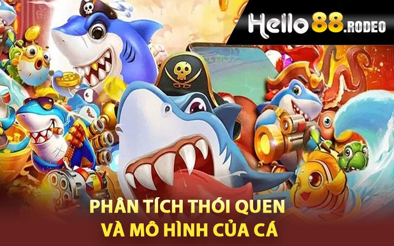 Phân tích thói quen và mô hình của cá